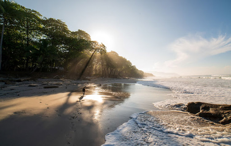 beach in costa rica